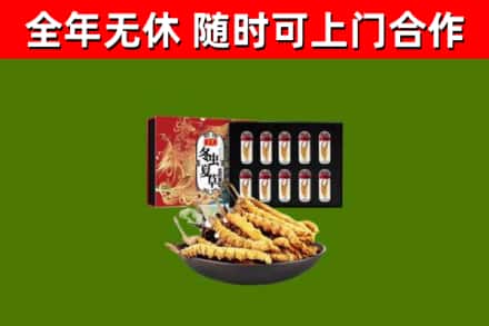 石河子回收冬虫夏草价格