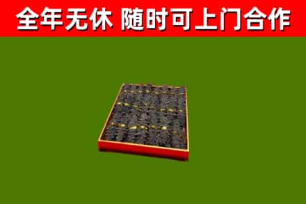 石河子回收海参